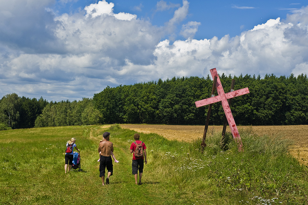 Narůžovo natřený kříž u Dobronína.