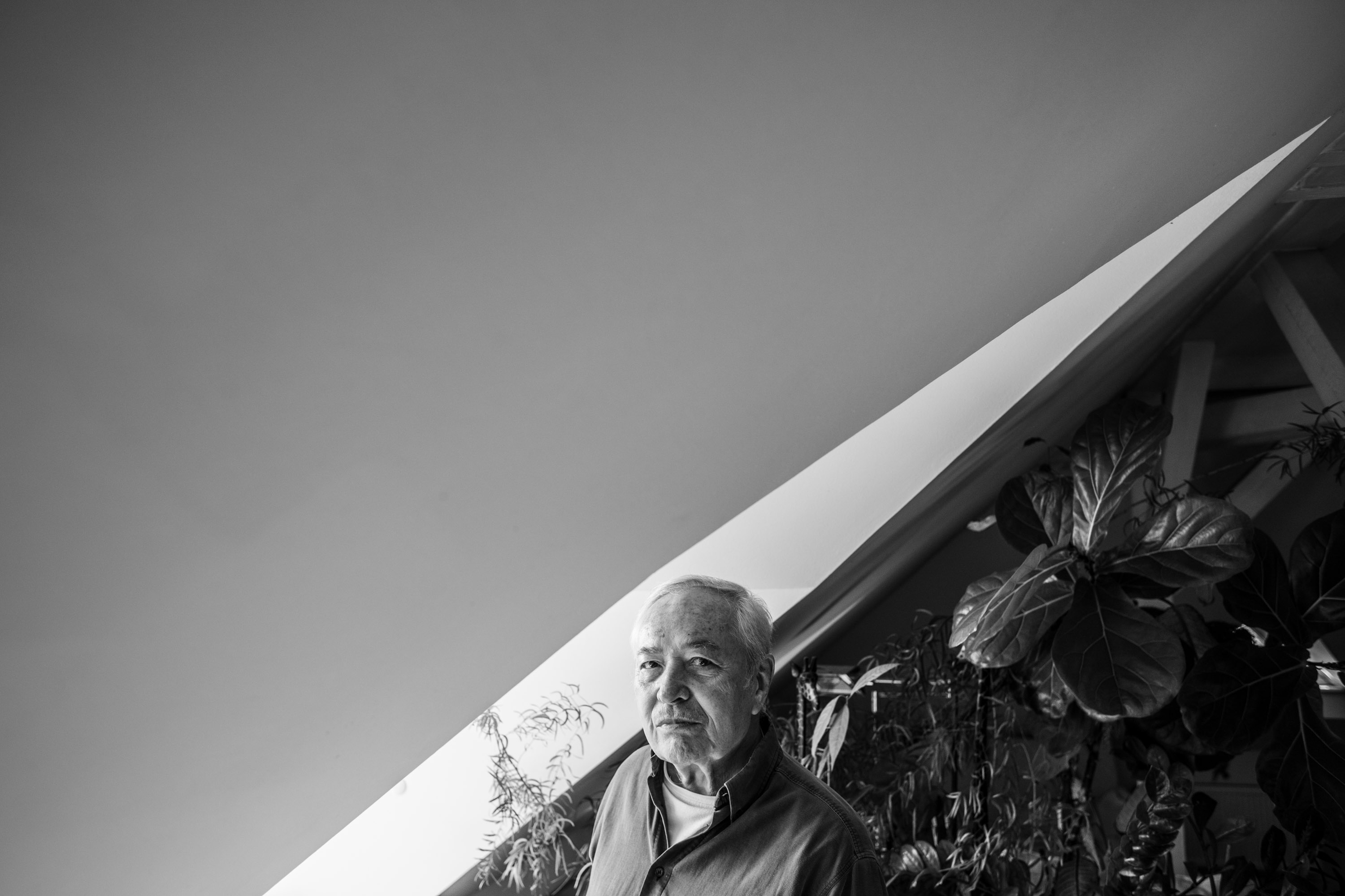 Libor Pešek