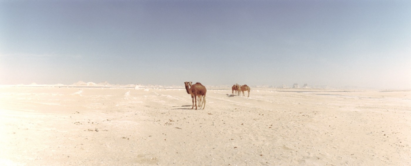 Oblasti Sahary
