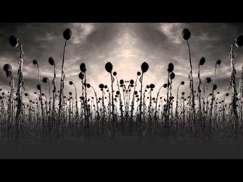 Dead Can Dance 'Amnesia' (Radio Edit)