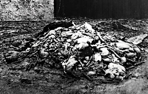 The sight of 800 deer carcasses sickened even experienced hunters.