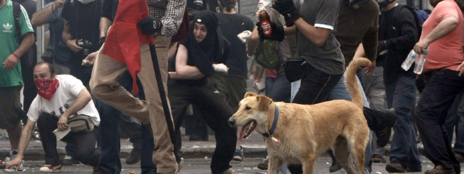 Hrozba rozšíření smrtelné řecké nákazy / Foto Globe Media/Reuters