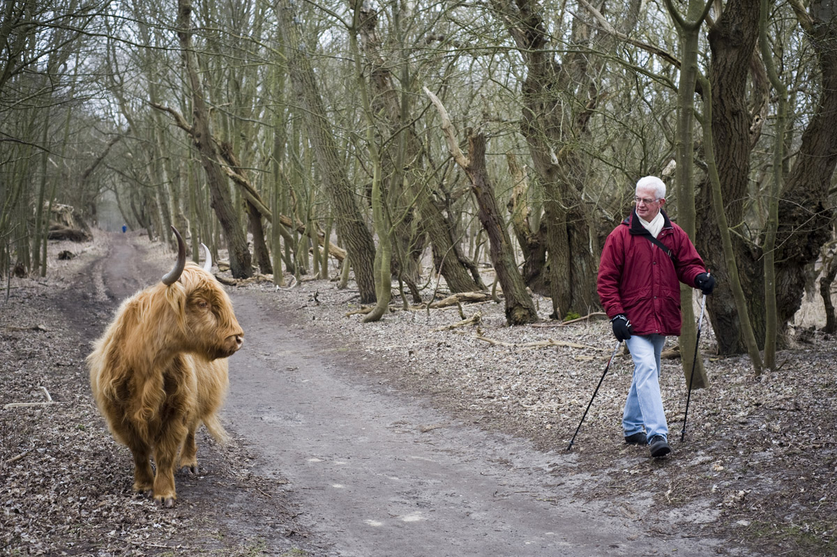 Národní park, Holandsko, duben, 2013