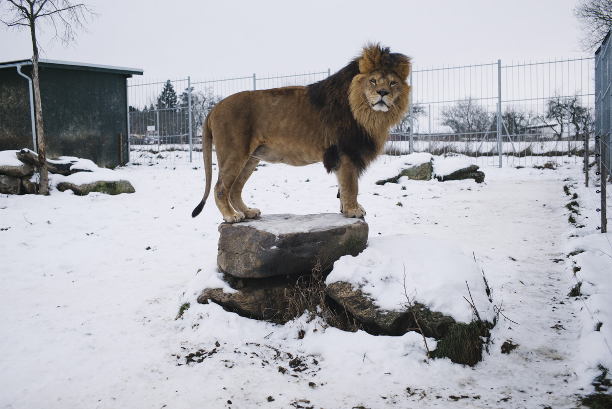 Zoo Vetrovy Tabor