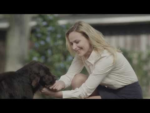 Provident image TV spot 30" CZ