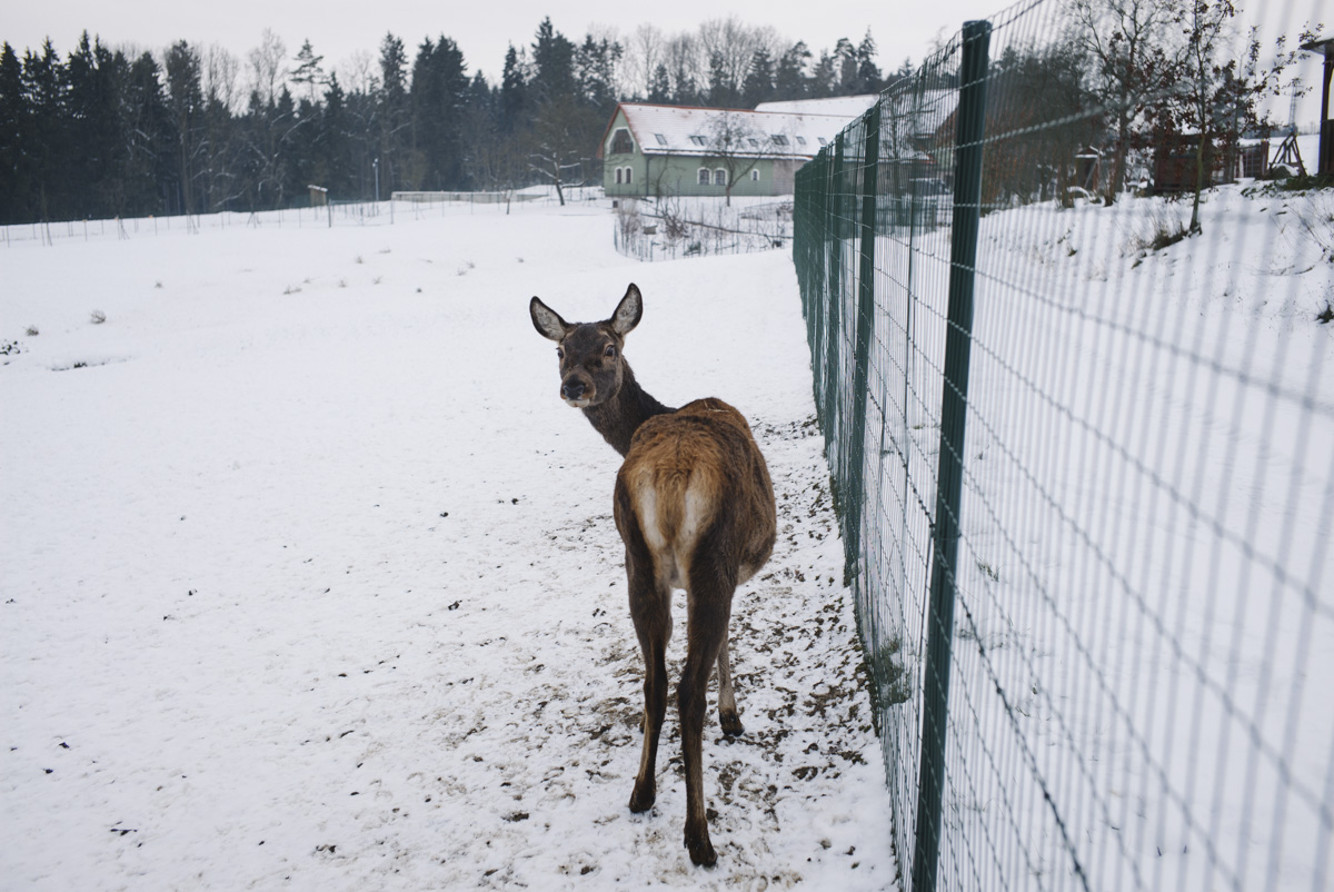 Zoo Vetrovy Tabor