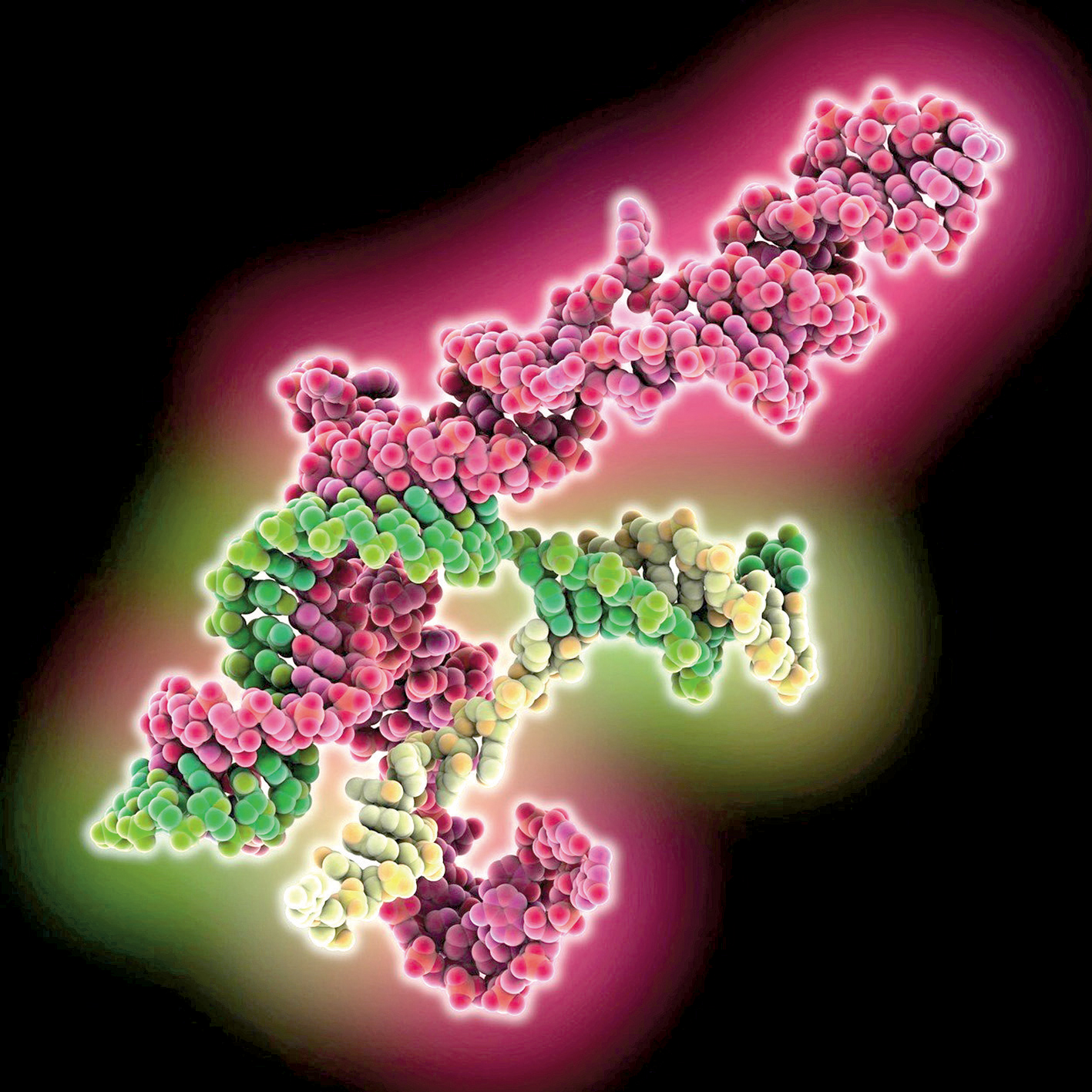 Navádění molekulárních nůžek CRISPR-Cas9 na cílovou DNA