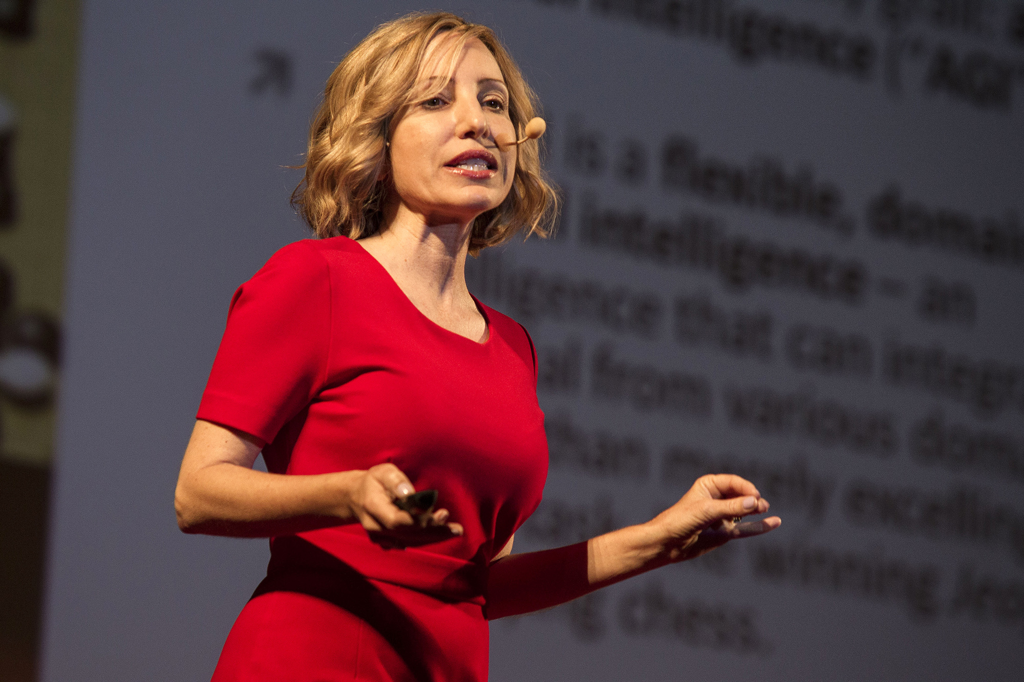 Susan Schneider