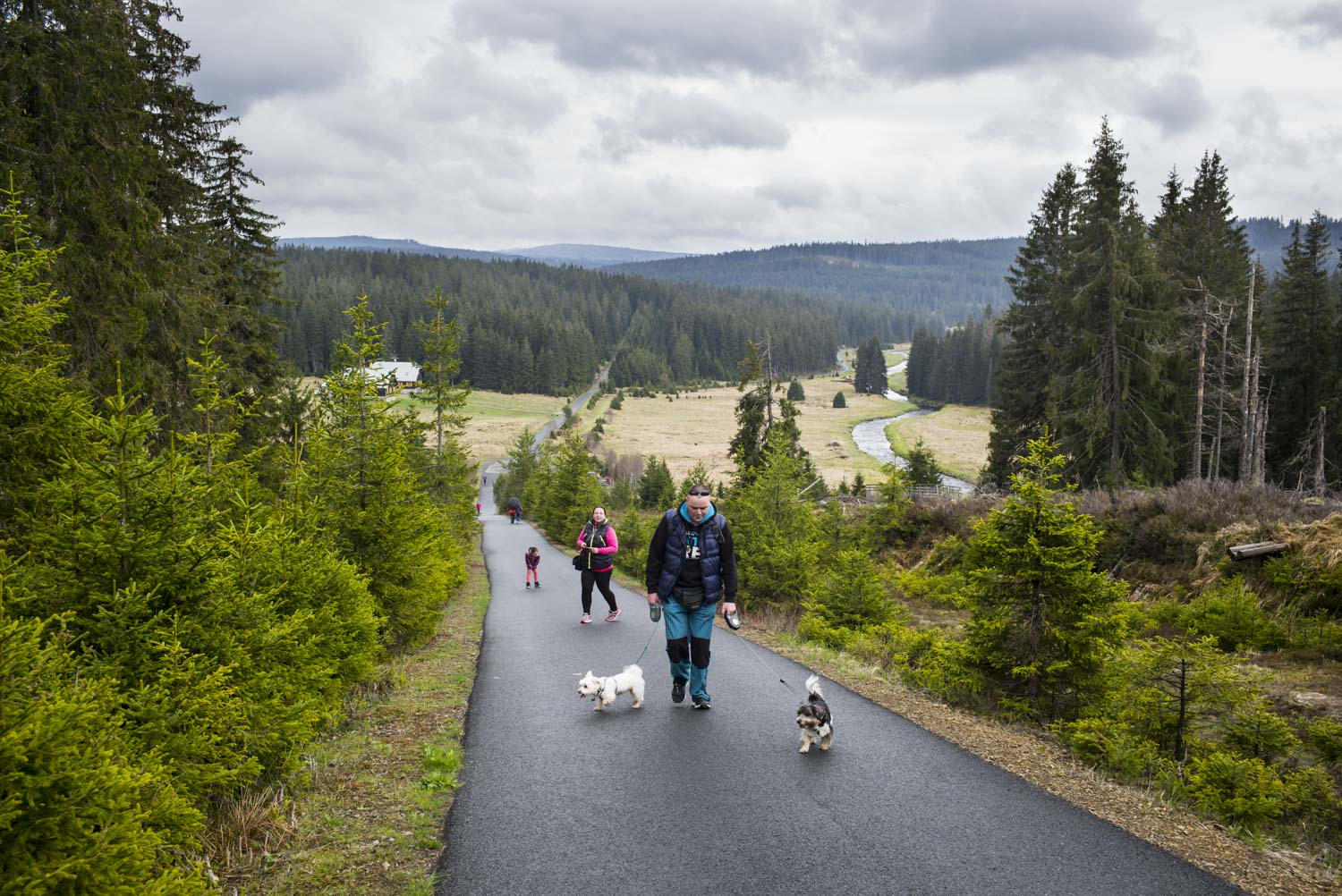 Šumava