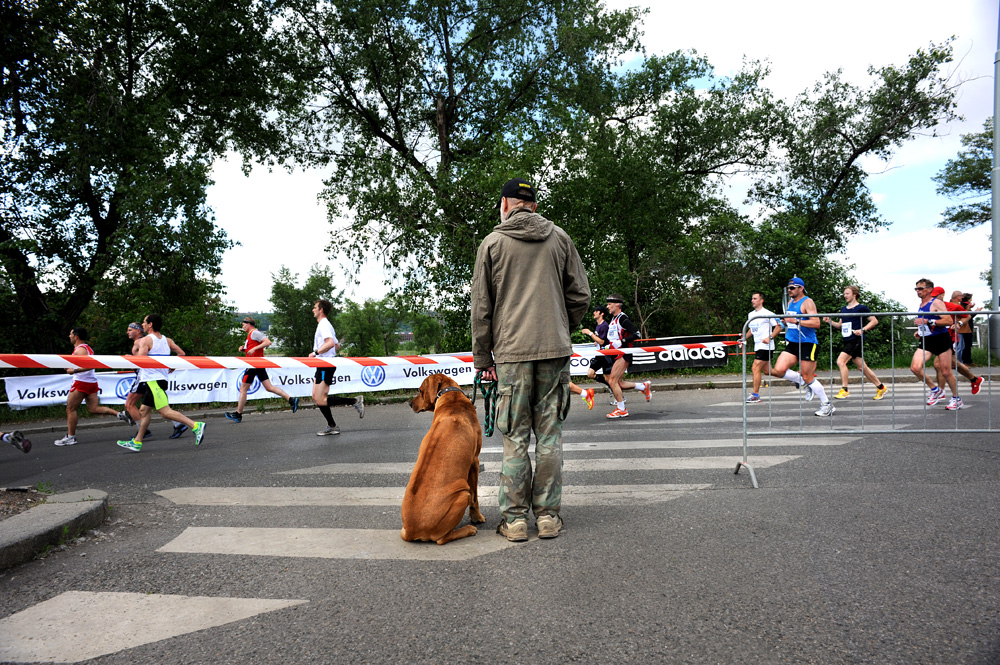 marathon01