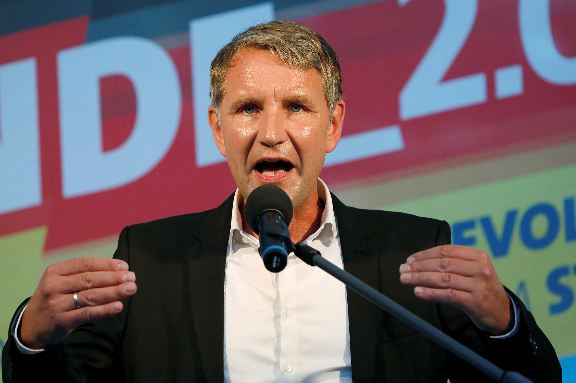 Björn Höcke, AfD