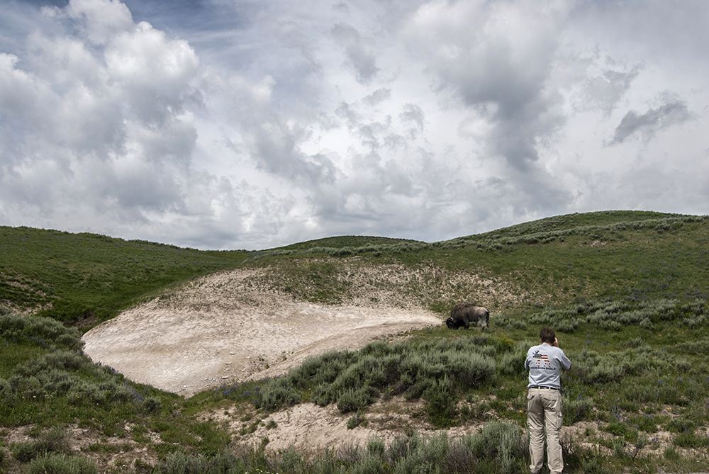 yellowstone01