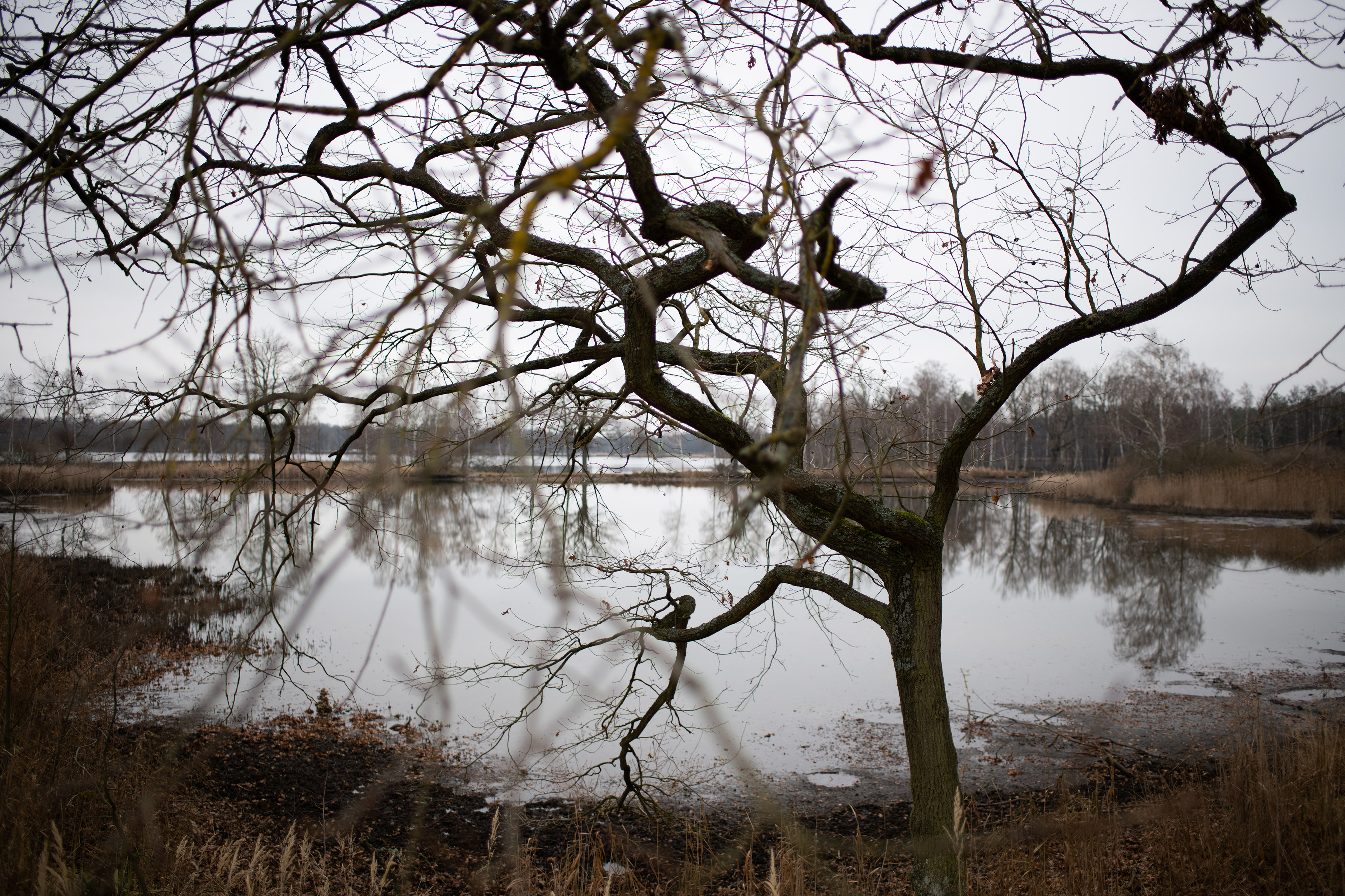 Rybník Naděje