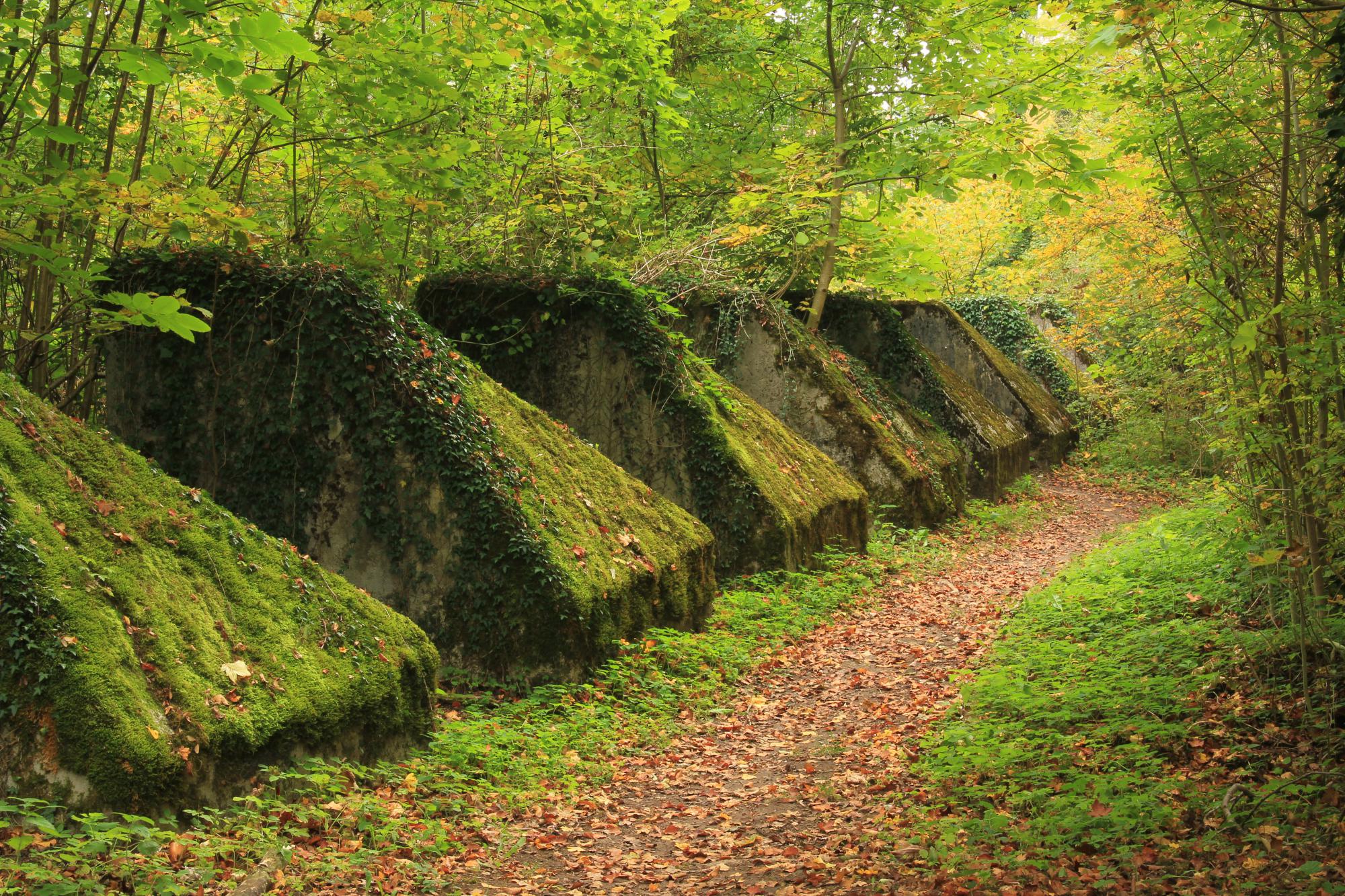 Tobleronová linie