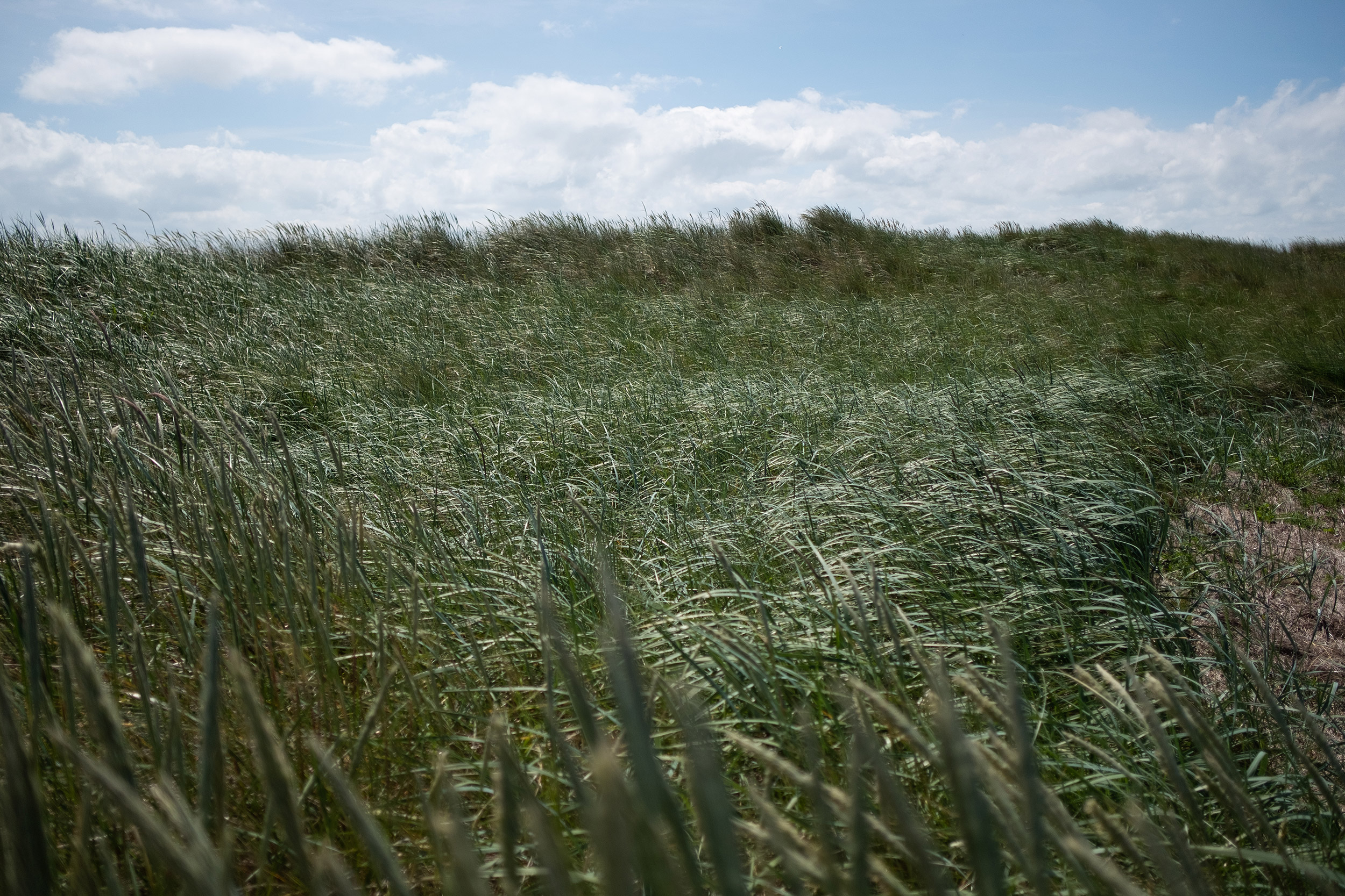 Ostrov Langeoog