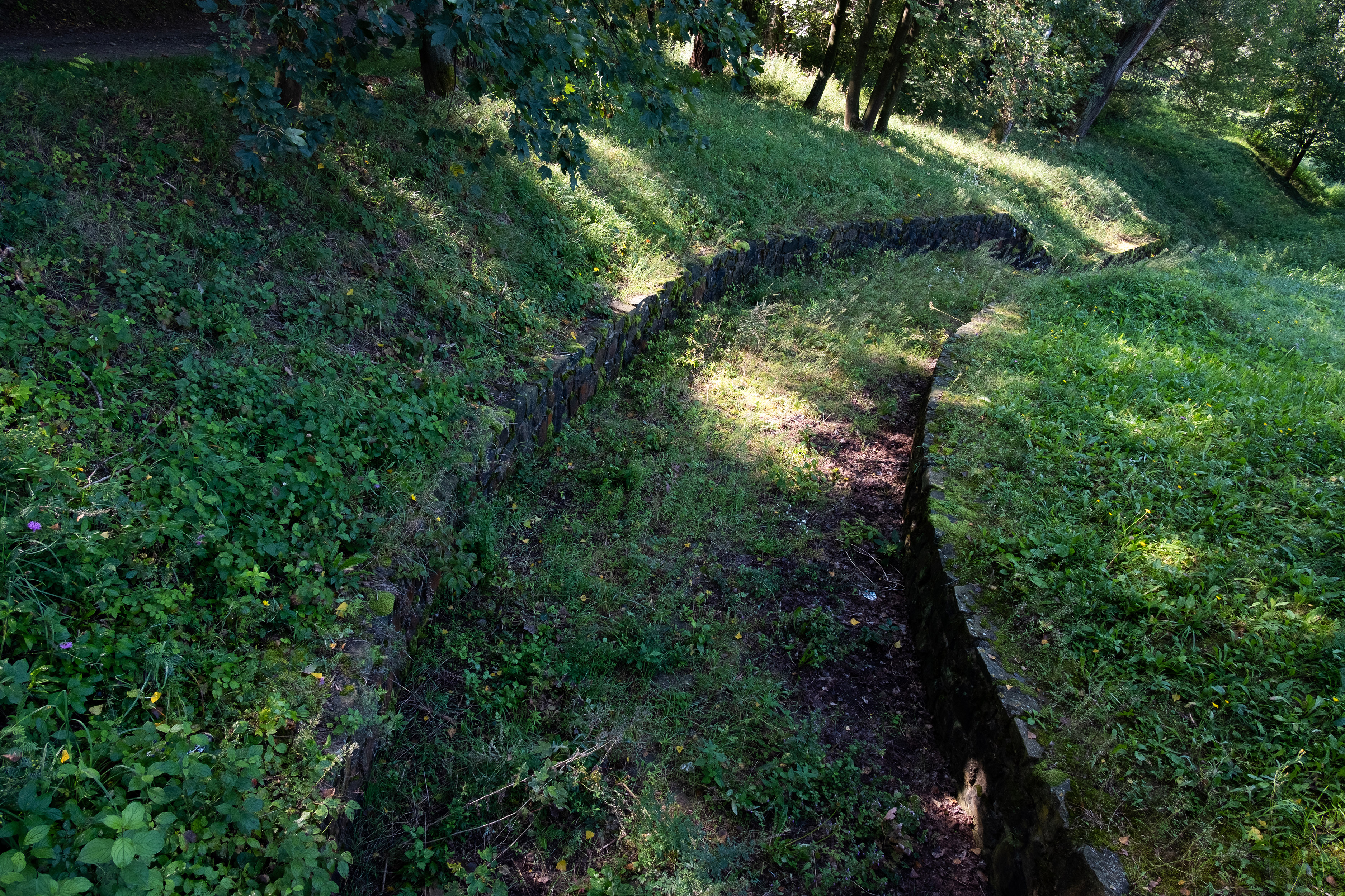 Vyschlý Zadní rybník u Hustopečí