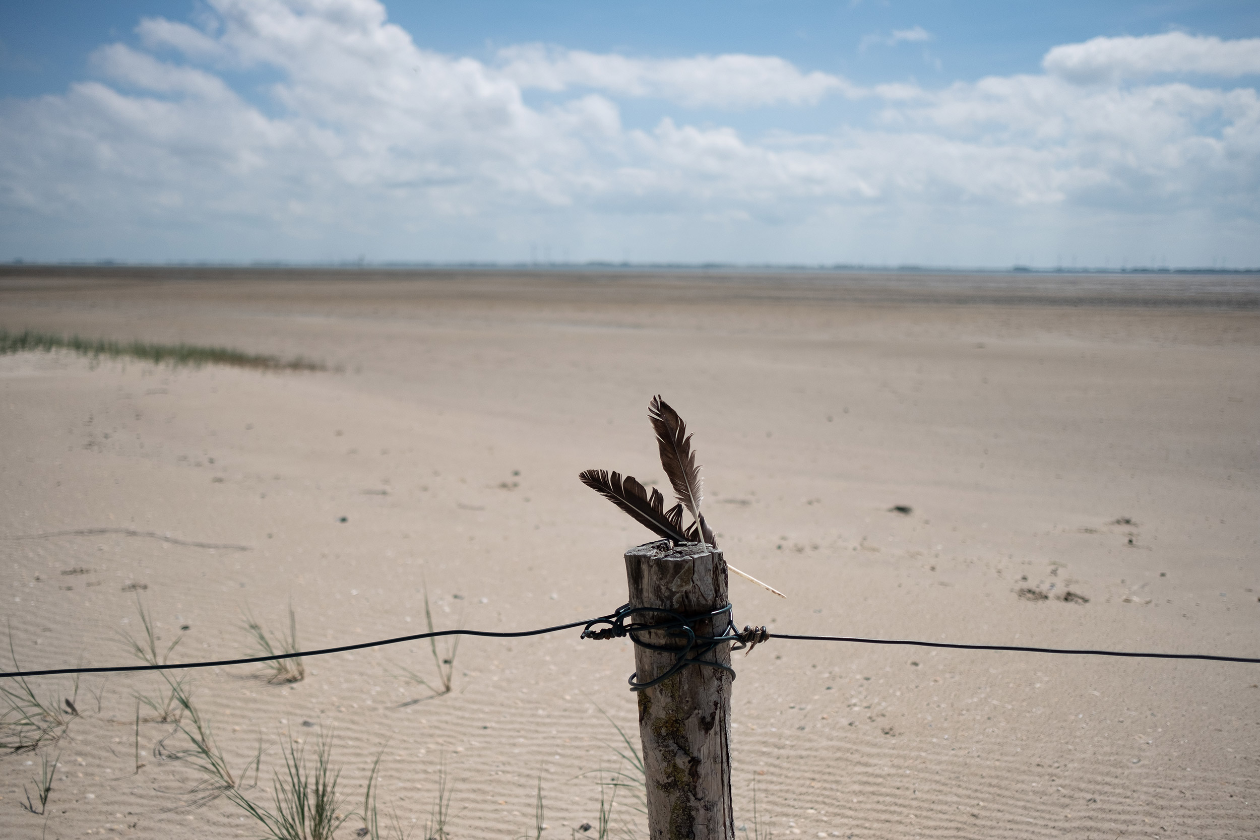 Ostrov Langeoog