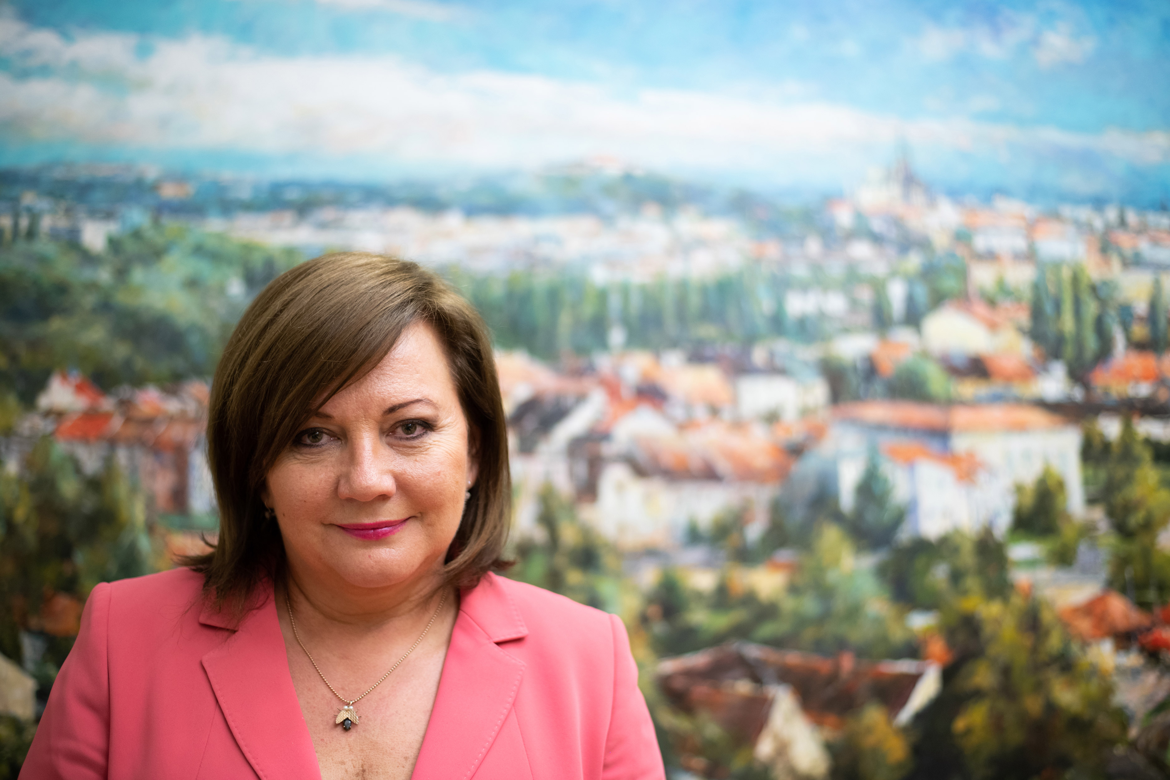 Alena Schillerová, listopad 2019