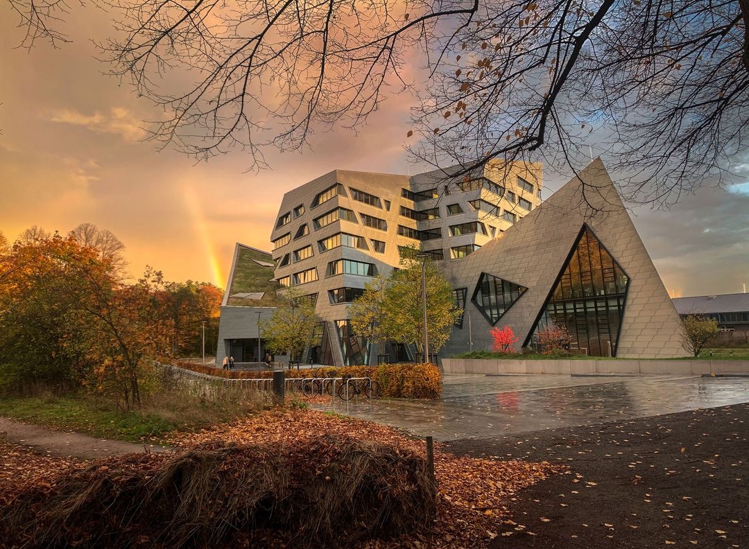 Takhle se (právem) vnímá Univerzita Leuphana