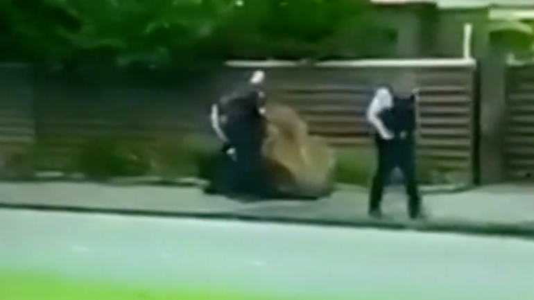 Videozáběr ze zatčení podezřelého z vraždění v mešitách v novozélandském Christchurch