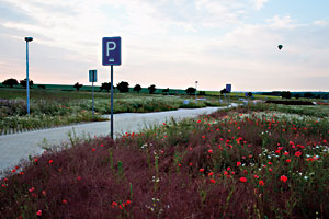 New names are still needed for public places.