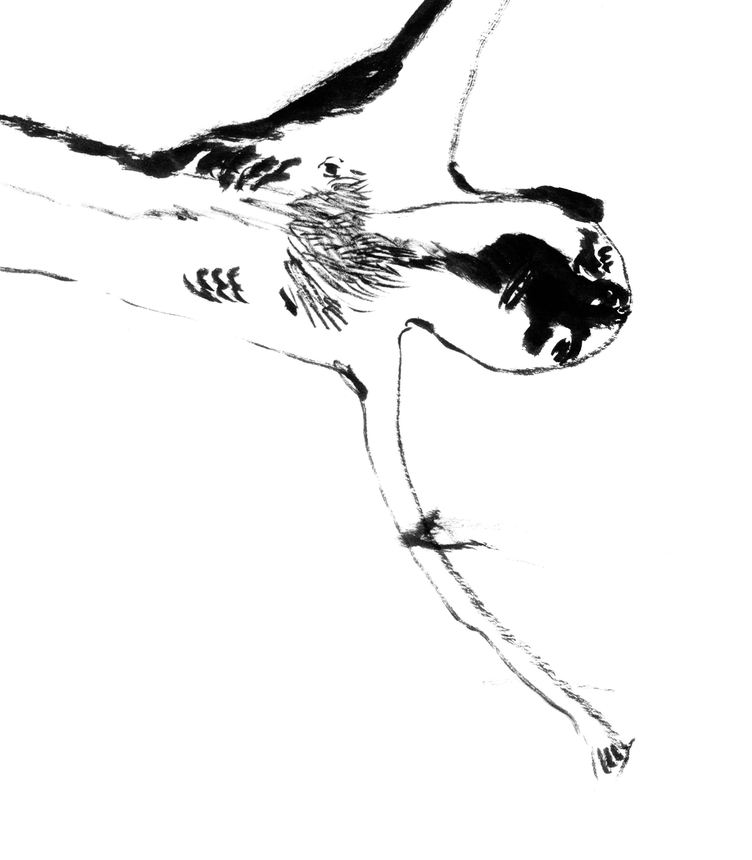 ilustrace Jorge González
