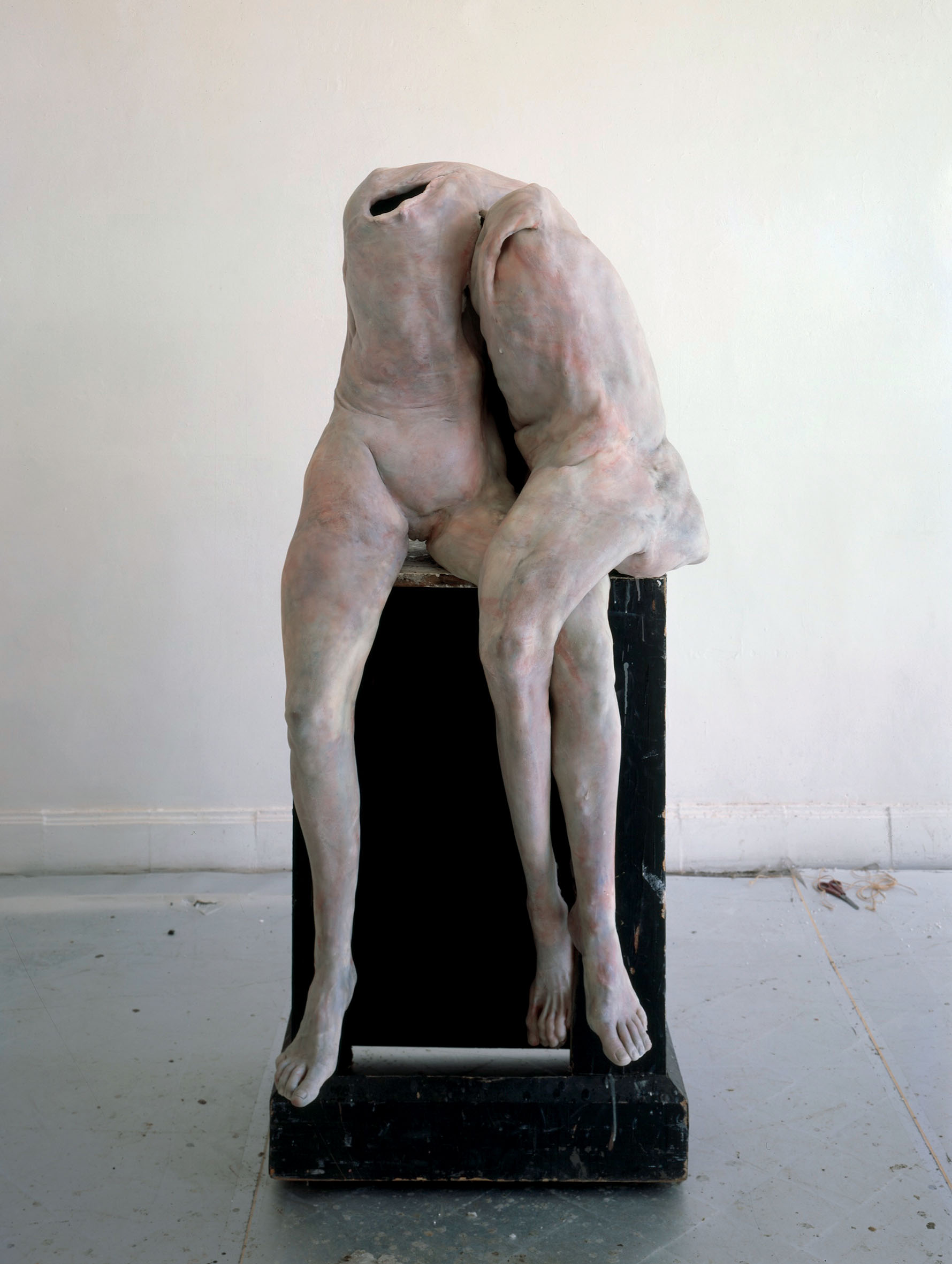 Pieta. (Berlinde De Bruyckere)