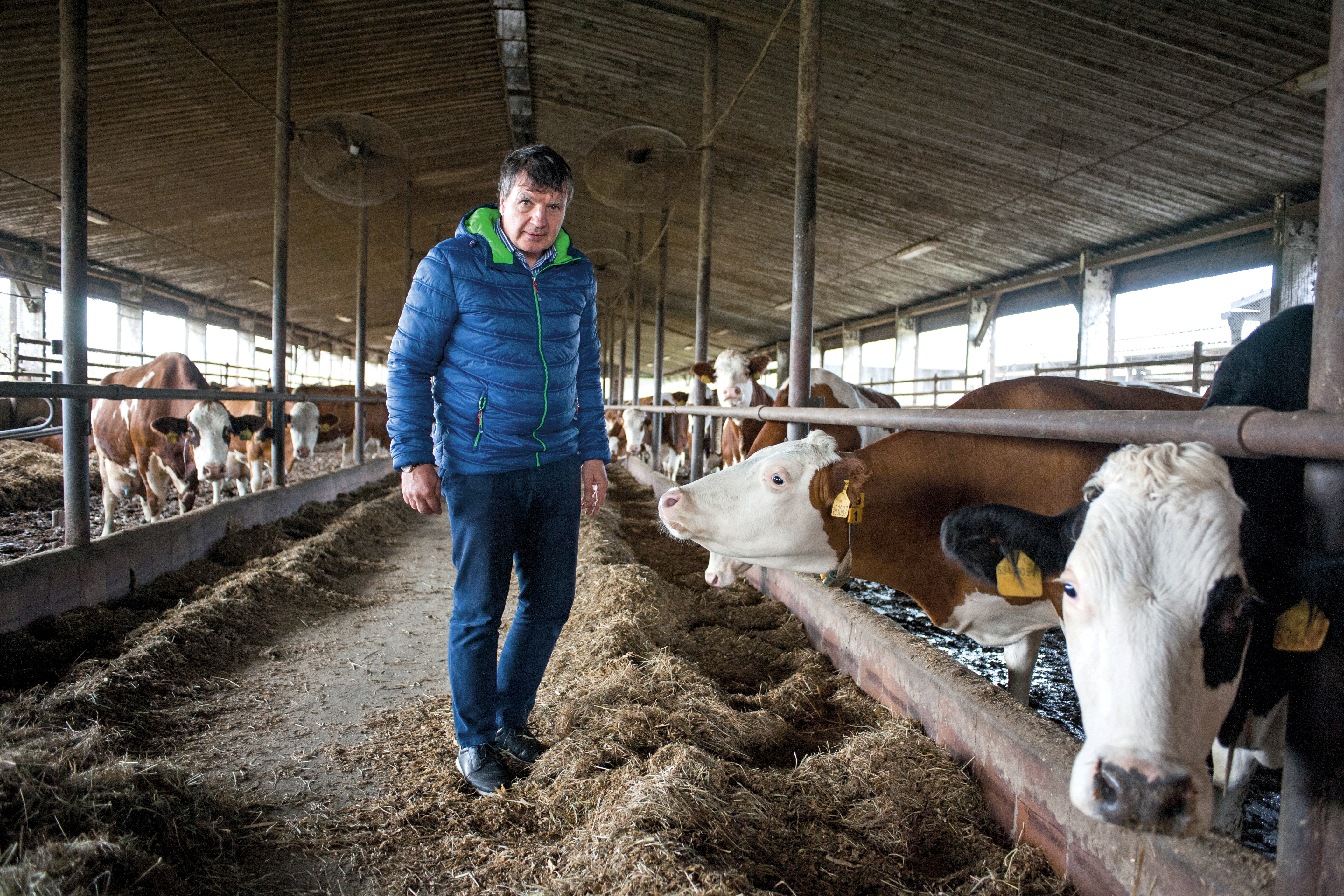 „Mlékárny se handrkují o každý desetník,
který nám dají navíc. Přitom mají slušné zisky.“
(Vlastimil Kratochvíl v nové stáji v Meziříčku)
