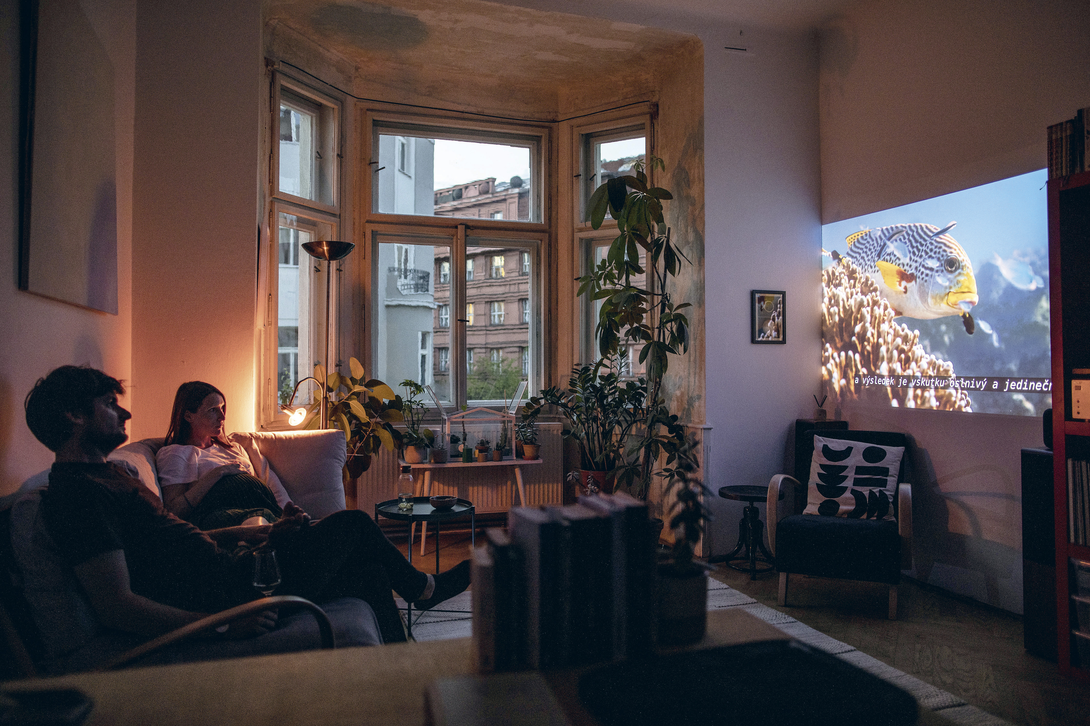 Popcorn z mikrovlnky a výběr z nekončících filmových zásob.