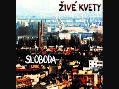 Živé kvety - Dni ako komíny