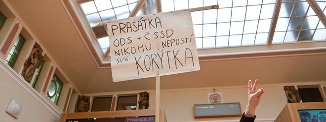 Prasátka a korýtka