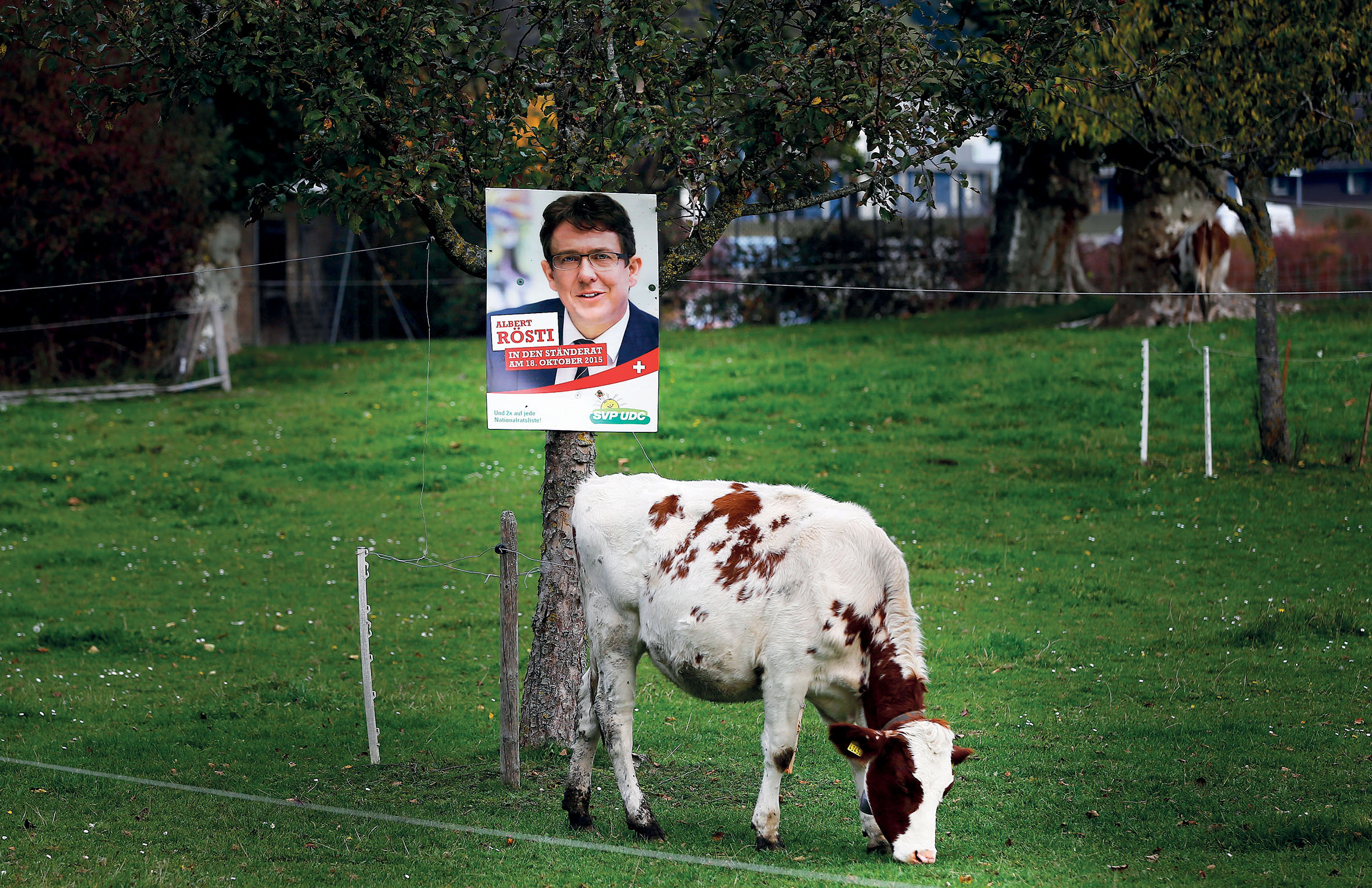 Horská izolovaná idyla. (Předvolební kampaň SVP )
