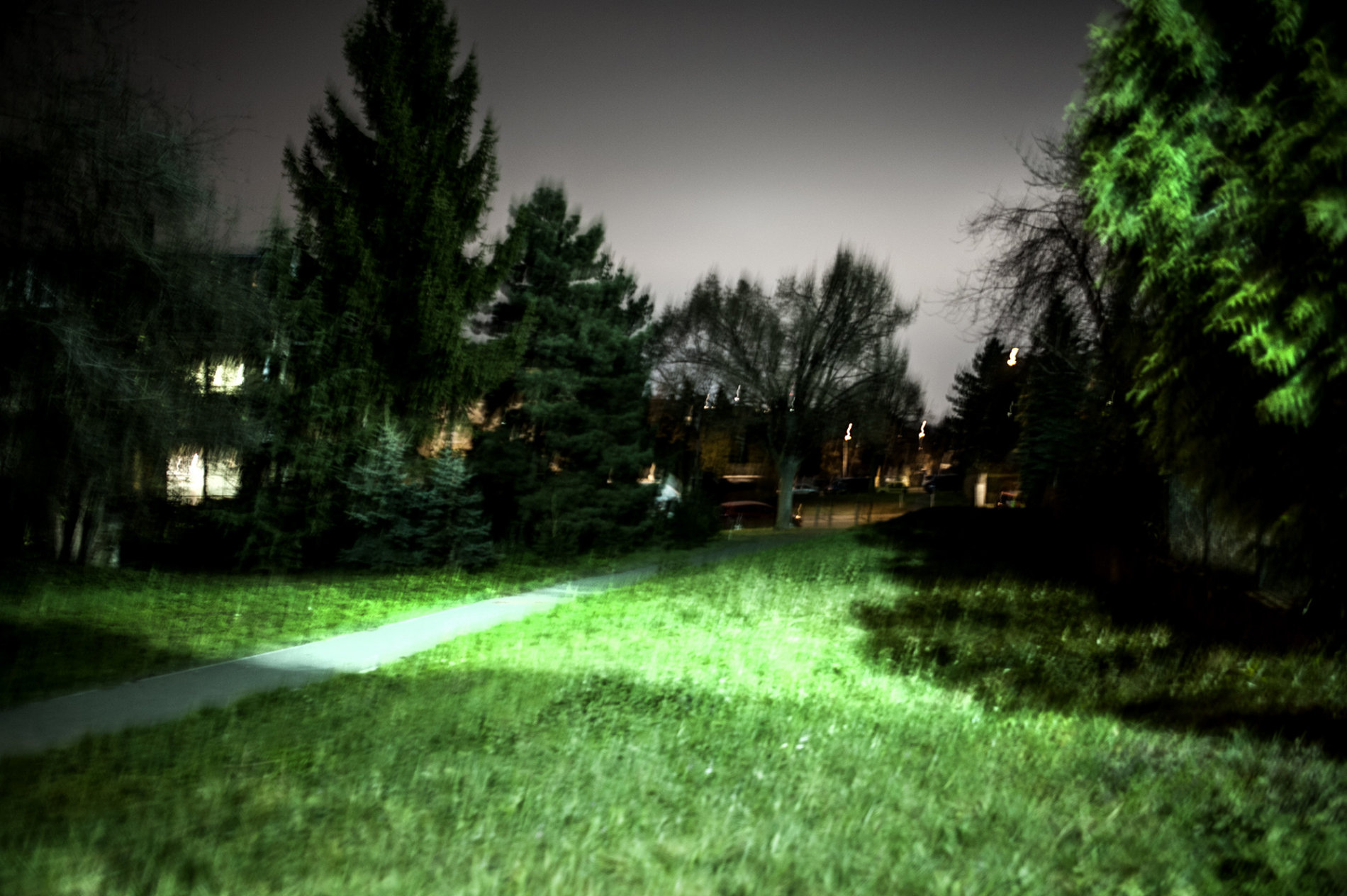 Out of Focus