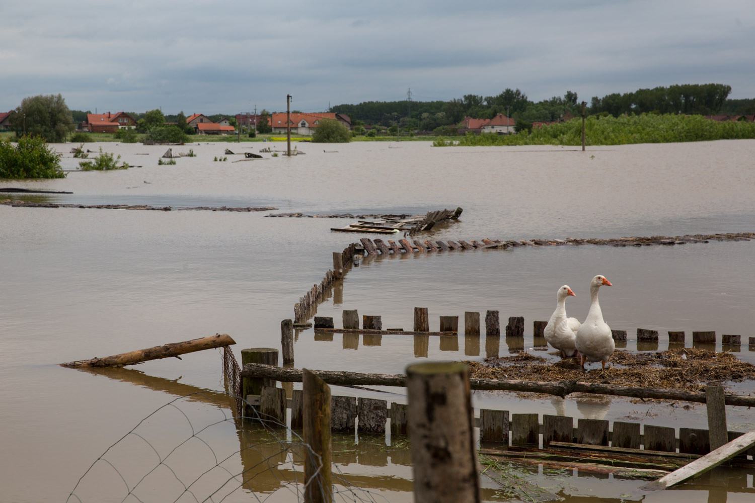 Větrušice, 04.06. 2013