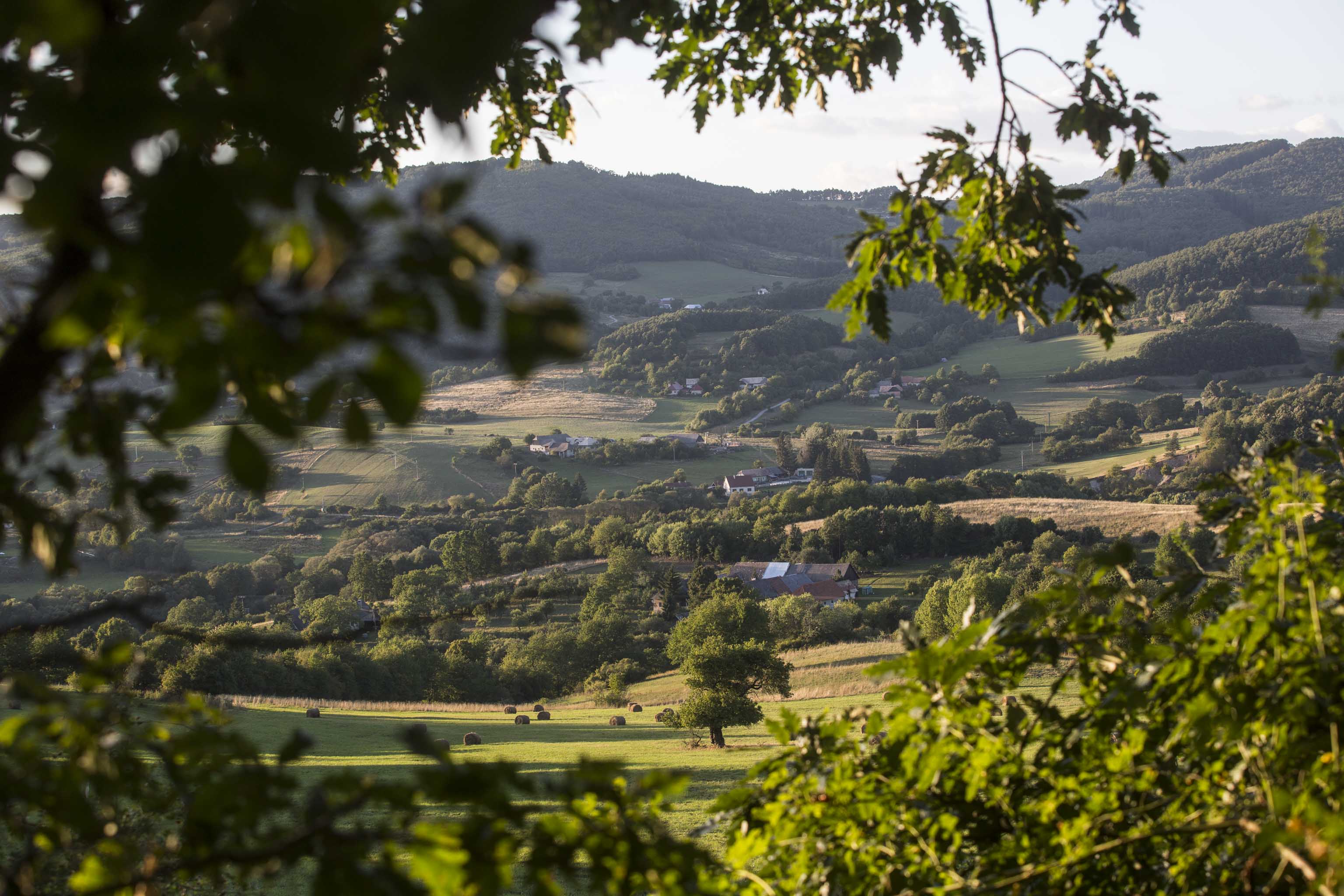 Zaježová 2015