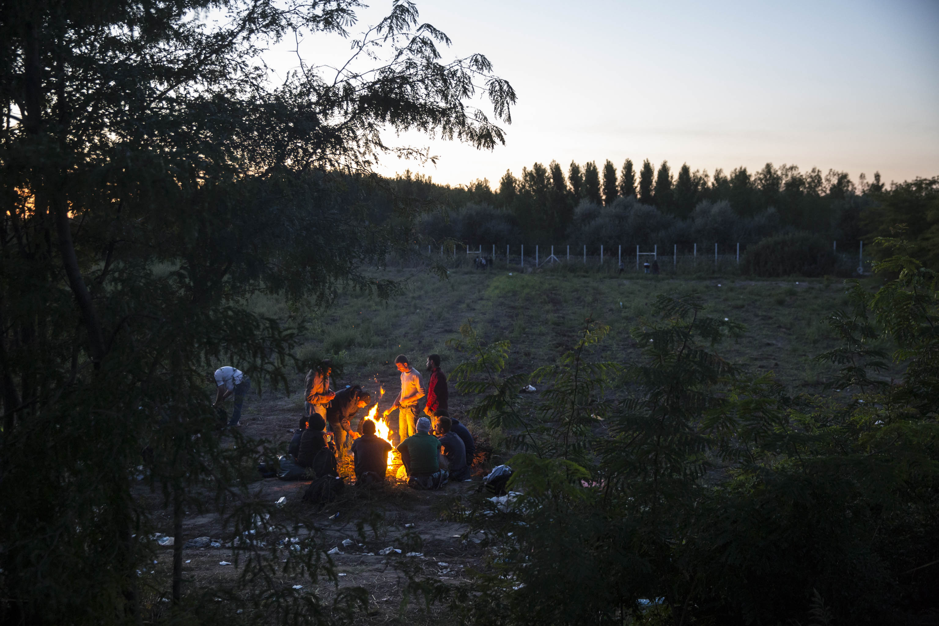 Exodus, Roszke 2015