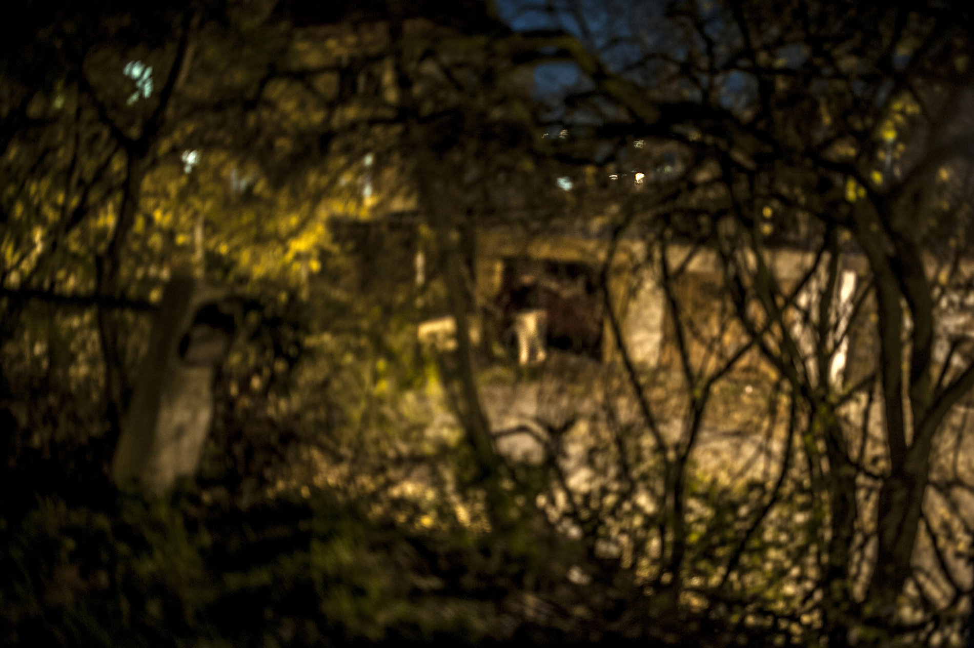 Out of Focus