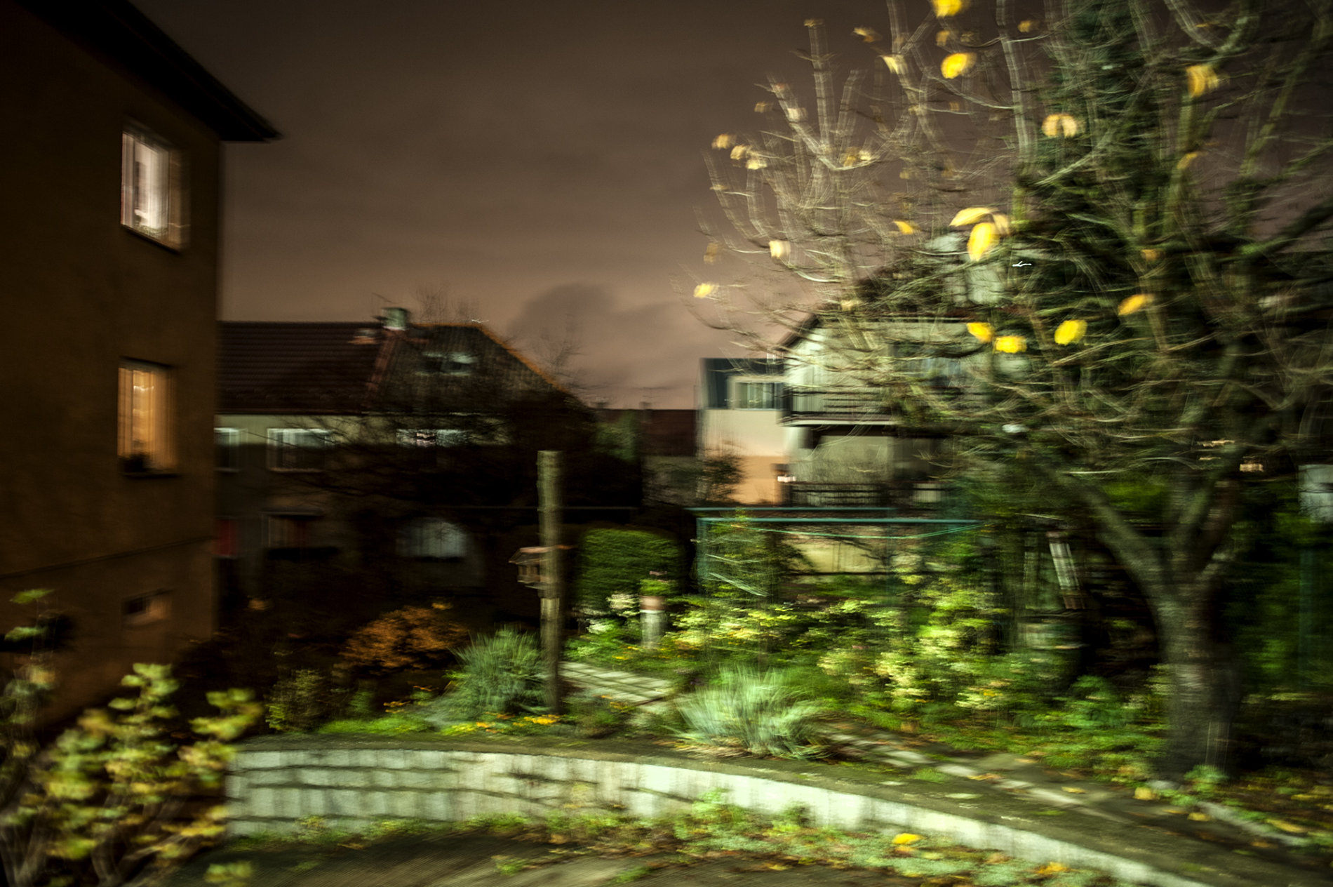 Out of Focus
