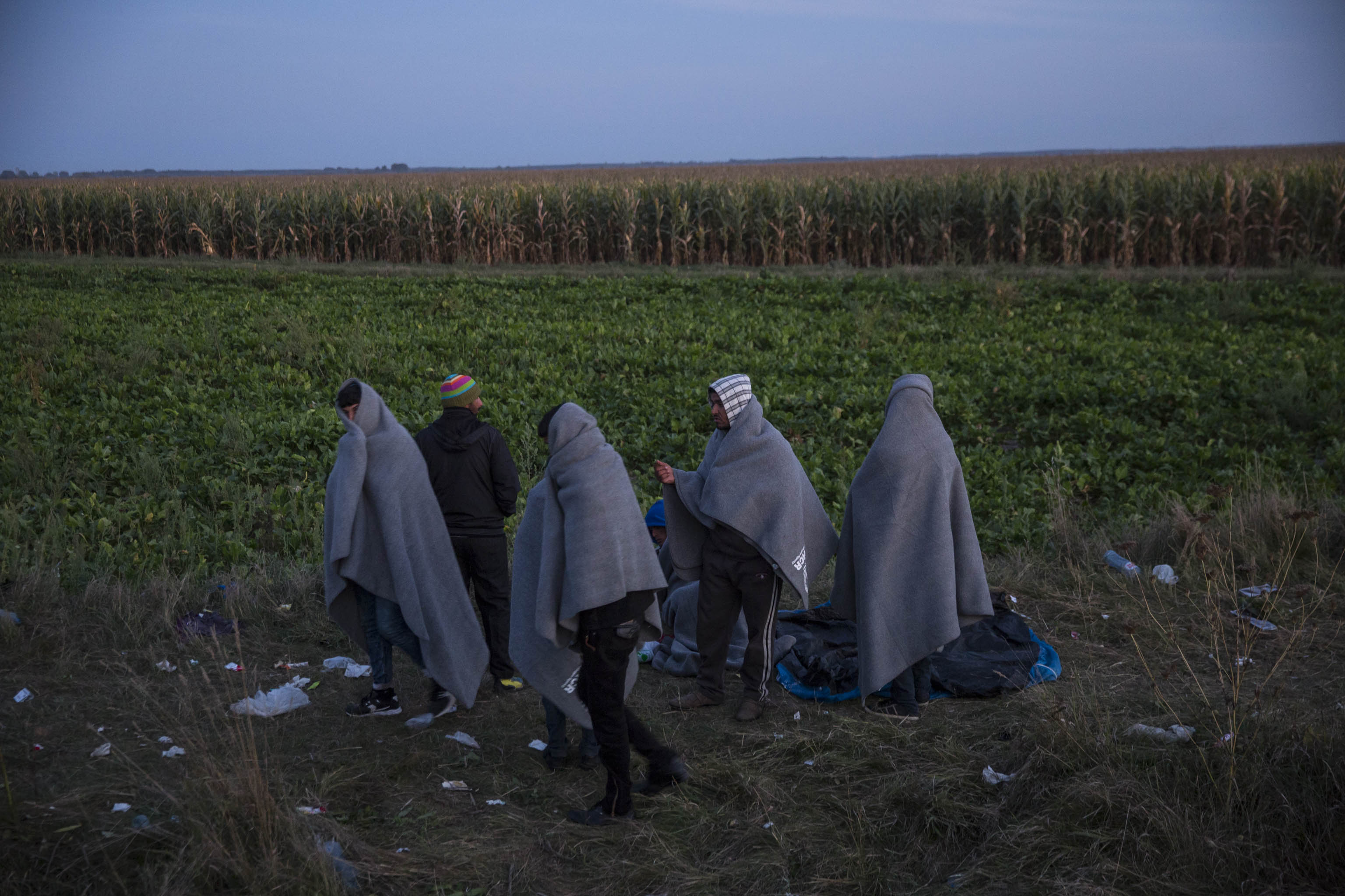 Exodus, Roszke 2015