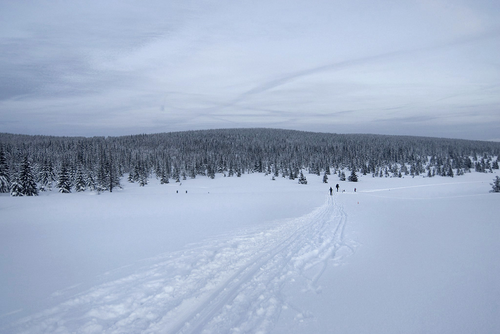 jizerka06