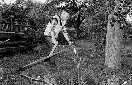 Fotografie: The rising star. It will find its orbit in five years. (Czech Prime Minister at his weekend house, 1992.) - Autor: Profimedia.cz/Corbis, www.profimedia.cz