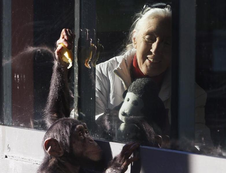 Jane Goodalová