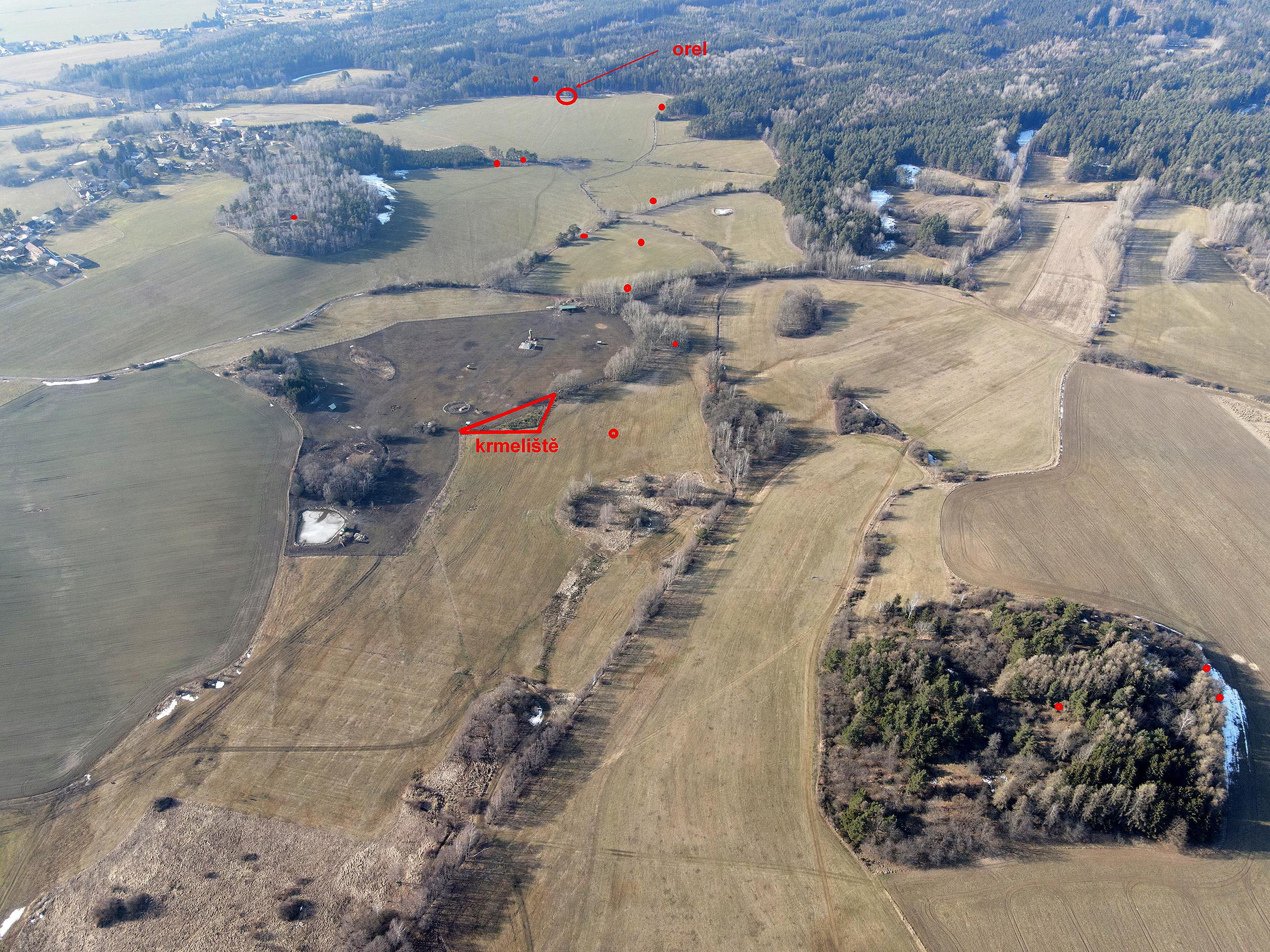 Foto z dronu, uprostřed ohrada s farmou, tečky značí nalezené otrávené ptáky.