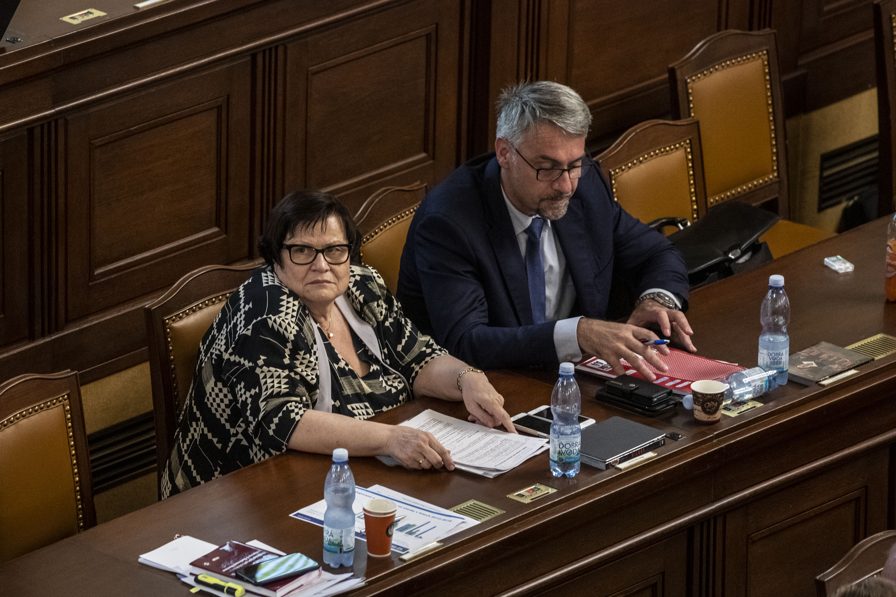 Sněmovna, hlasování o důvěře, červen 2019